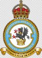 No 1 (Specialist) Police Wing, Royal Air Force1.jpg