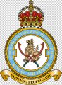 No 8 Force Protection Wing, Royal Air Force1.jpg