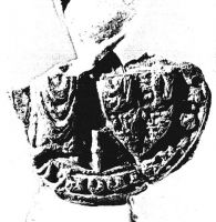 Wapen van Bakel en Milheeze/Arms (crest) of Bakel en Milheeze