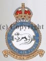 No 124 (Baroda) Squadron, Royal Air Force.jpg