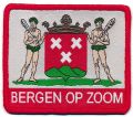 Bergenzoom.patch.jpg