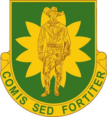 Arms of 304th Military Police Battalion, US Army