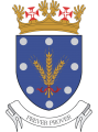 Air Force Financial Directorate, Portuguese Air Force.png