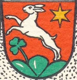 Arms of Benedikt Rennhas