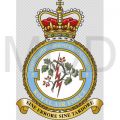 No 5 Information Services Squadron, Royal Air Force.jpg