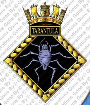 HMS Tarantula, Royal Navy.jpg