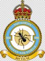 No 5001 Squadron, Royal Air Force1.jpg