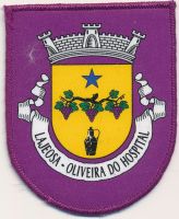 Brasão de Lajeosa/Arms (crest) of Lajeosa