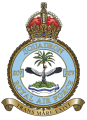 No 95 Squadron, Royal Air Force.png