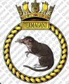 HMS Termagant, Royal Navy.jpg