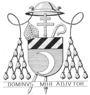 Arms (crest) of Johannes de Jong