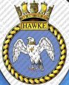 HMS Hawke, Royal Navy.jpg