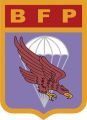 Parachute Fusiliers Brigade, Mexican Air Force.jpg