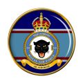 No 255 Squadron, Royal Air Force.jpg