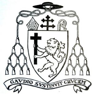 Arms (crest) of Manuel Trindade Salgueiro
