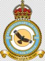 No 905 Expeditionary Air Wing, Royal Air Force1.jpg
