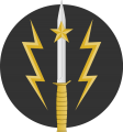 Special Service Group, Pakistan Army.png