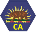 California State Guard, USA.png