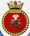 HMS Gardenia, Royal Navy.jpg