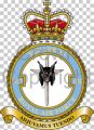 No 13 Squadron, Royal Air Force.jpg