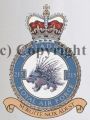 No 215 Squadron, Royal Air Force.jpg