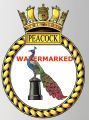 HMS Peacock, Royal Navy.jpg