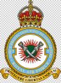 No 7 Force Protection Wing, Royal Air Force1.jpg