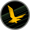 Squadron 140, Israeli Air Force.png