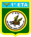 1st Air Transport Squadron, Brazilian Air Force.jpg