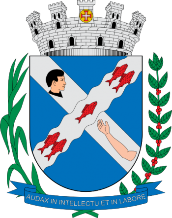 Arms of Piracicaba