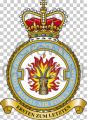 No 1 Force Protection Wing, Royal Air Force.jpg