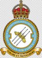 No 3 Force Protection Wing, Royal Air Force1.jpg