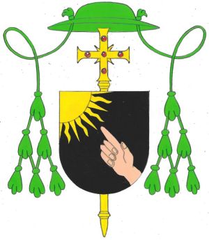 Arms of John Brady