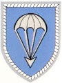 1st Air Landing Division.jpg