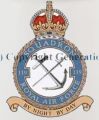 No 119 Squadron, Royal Air Force.jpg