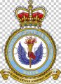 Queen's University Air Squadron, Royal Air Force Volunteer Reserve.jpg