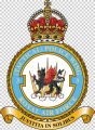 No 3 (Tactical) Police Wing, Royal Air Force1.jpg