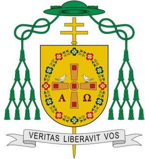 Arms of Francisco Javier Martínez Fernández
