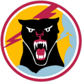 21st Fighter Day Squadron, US Air Force.png