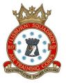 No 817 (Lisburn) Squadron, Air Training Corps.jpg