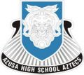 Azusa High School Junior Reserve Officer Training Corps, US Armydui.jpg