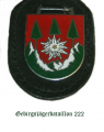 Mountain Jaeger Battalion 222, German Army.png