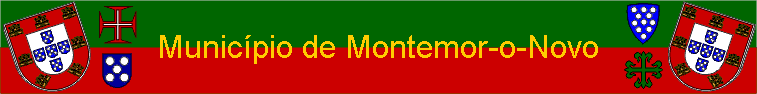 Municpio de Montemor-o-Novo