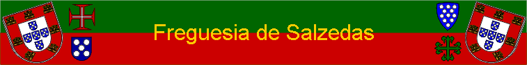 Freguesia de Salzedas