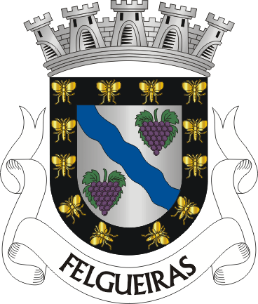 Brasão do município de Felgueiras
