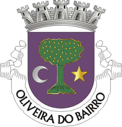 Braso do municpio de Oliveira do Bairro