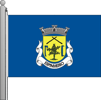 Bandeira da freguesia de Espinheiro