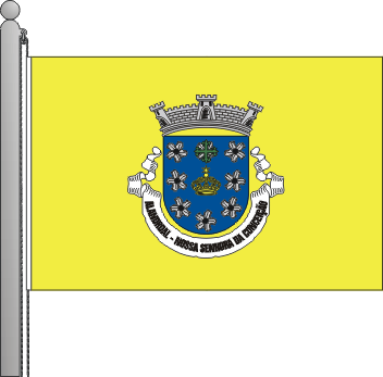 Bandeira da freguesia de Nossa Senhora da Conceio