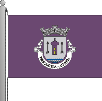 Bandeira da freguesia de Mesquitela