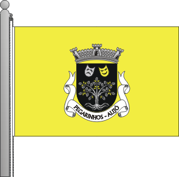 Bandeira da freguesia de Pegarinhos